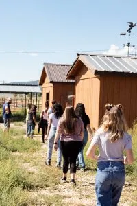 Healing and Hope: Supporting Teen Girls Through Trauma and Pregnancy